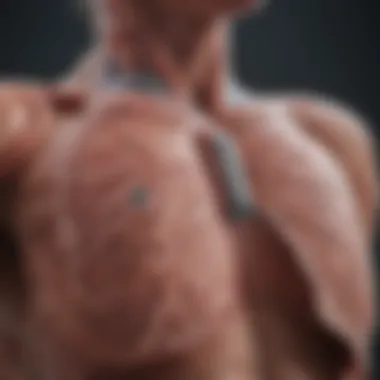 Magnificent An In-Depth Exploration of Stage 1 NSCLC