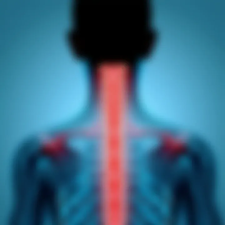 Magnificent Distinctions Between Ankylosing Spondylitis and Rheumatoid Arthritis