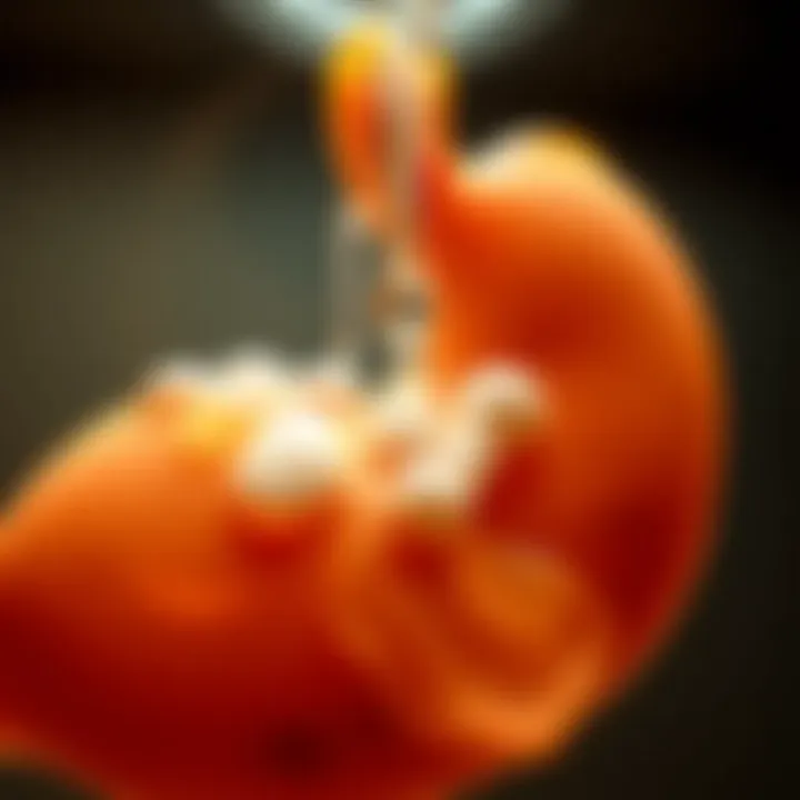 Magnificent Draining Fluid from the Stomach Due to Cancer: An In-depth Analysis Magnificent Draining Fluid from the Stomach Due to Cancer: An In-depth Analysis