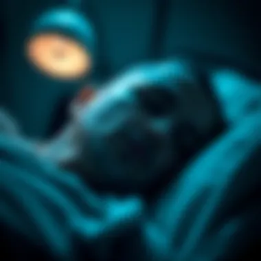 Magnificent Exploring the Intersection of Sleep Ailments and Depression: A Comprehensive Analysis of Medicinal Approaches