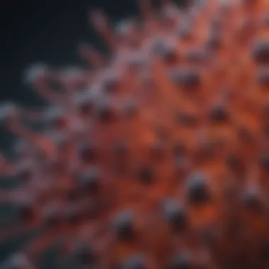 Magnificent Exploring the P16 Ink4a Antibody: Implications and Applications Magnificent Exploring the P16 Ink4a Antibody: Implications and Applications