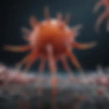 Magnificent Exploring the Role of Rab25 Antibody in Cellular Biology Magnificent Exploring the Role of Rab25 Antibody in Cellular Biology