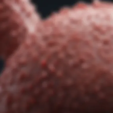 Magnificent Prognosis for Stage 3 Colon Cancer: Understanding Outcomes and Factors
