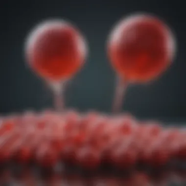 Magnificent SGLT2 Inhibitors in the Management of Type 2 Diabetes Magnificent SGLT2 Inhibitors in the Management of Type 2 Diabetes