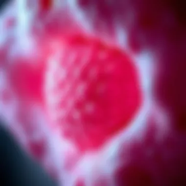 Magnificent Skin Biopsy for Neuropathy: Insights and Implications