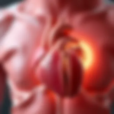 Magnificent Stages of Tricuspid Regurgitation: A Detailed Exploration