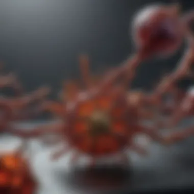 Magnificent Understanding the Mechanism of Action of SGLT2 Inhibitors Magnificent Understanding the Mechanism of Action of SGLT2 Inhibitors