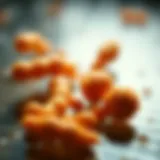 A Comparative Analysis of Synbiotics and Probiotics Introduction