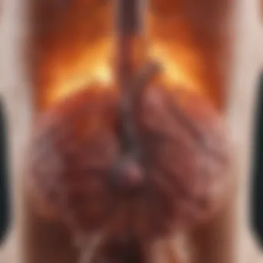 Illustration depicting the physiological effects of alcohol on the liver