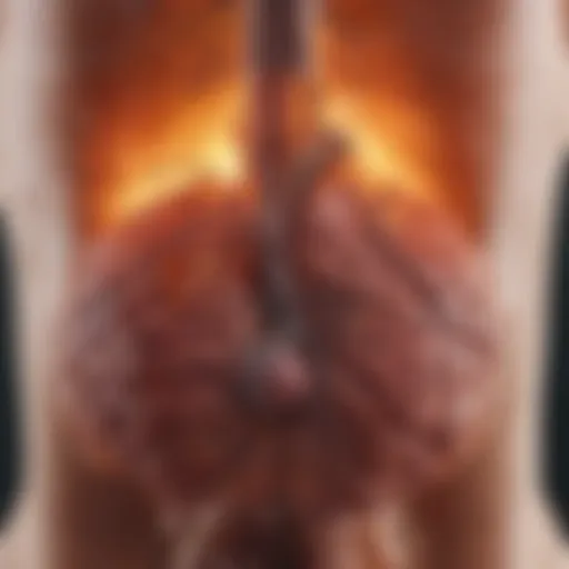Illustration depicting the physiological effects of alcohol on the liver