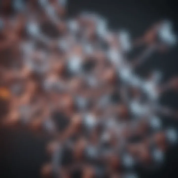 Illustration of amino acids structure