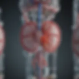 Intravenous remdesivir mechanisms illustrated