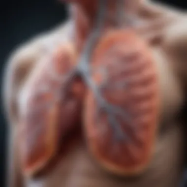 Lung Structure and Very Severe COPD Lung structure affected by very severe COPD
