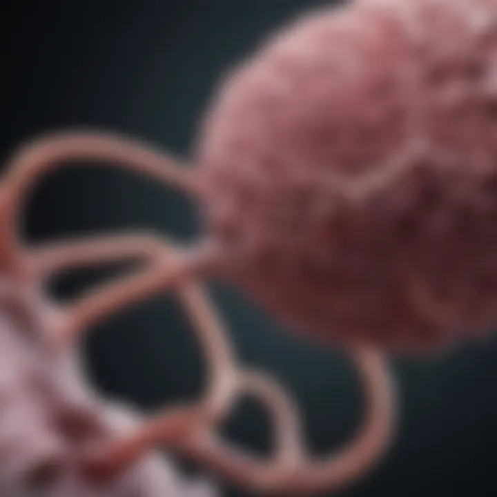 Notable An In-Depth Exploration of Stage 1 NSCLC