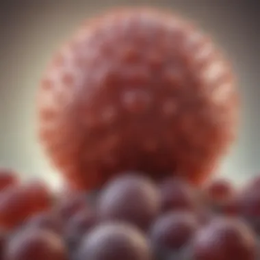 Visual representation of herpes simplex virus