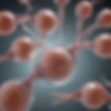 Detailed diagram illustrating various assisted reproductive technologies.