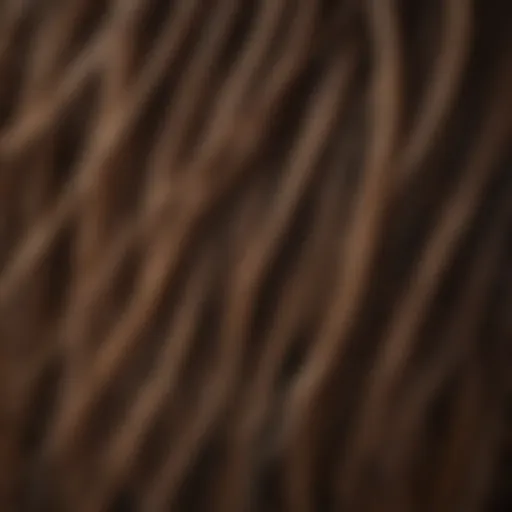 A close-up view of Beethoven's hair strand, showcasing its texture and color