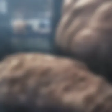 Close-up view of blister formation on skin