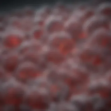 Recent Research on Systemic Candida Infections Research findings on systemic Candida infections.