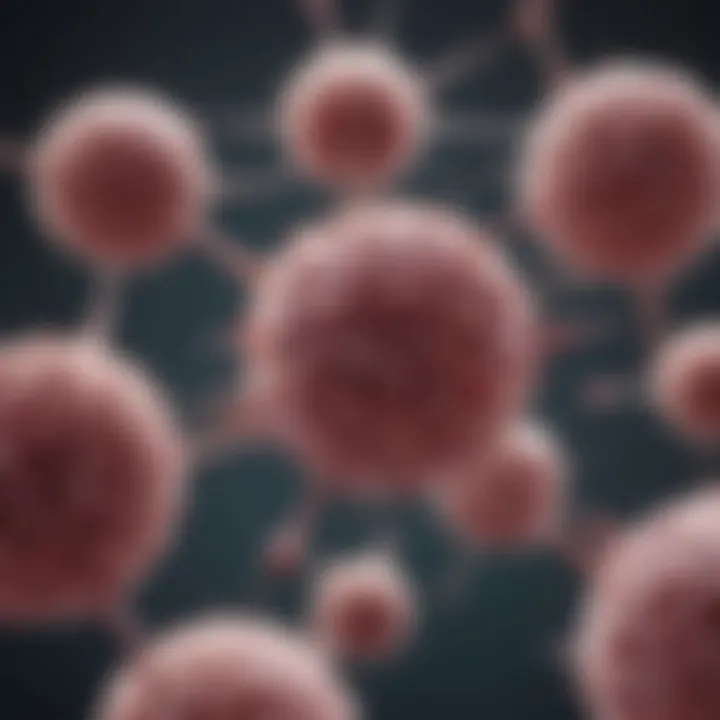 Chart showing the mechanism of action of chemotherapy drugs on cancer cells