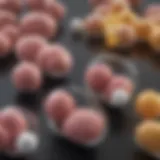 Diagram illustrating the types of chemotherapy agents used for stomach cancer treatment