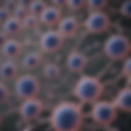 Microscopic view of chondrocyte cell lines