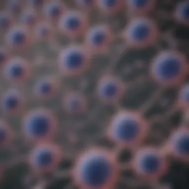 Microscopic Examination of Chondrocyte Cell Lines Microscopic view of chondrocyte cell lines