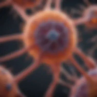 Experimental setup for studying osteoarthritis using chondrocyte cell lines