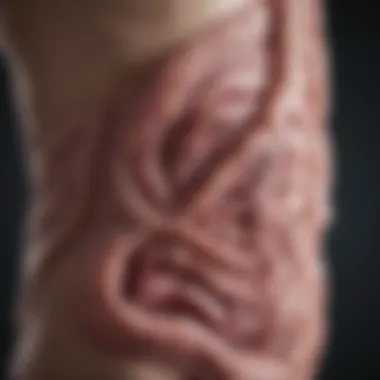 Innovative Diagnostic Approaches for Colitis Diagnostic techniques for colitis