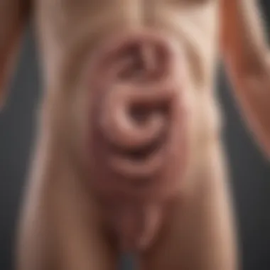 Therapeutic Modalities in Managing Colitis Advanced treatment strategies illustration