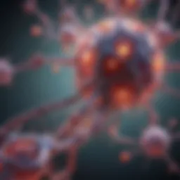 Illustration depicting the molecular pathways involved in IgM Lymphoma