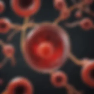Role of Cord Blood in Leukemia Treatment Diagram illustrating the role of cord blood in leukemia treatment