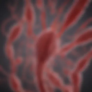 Microscopic View of Cord Blood Stem Cells Illustration of cord blood stem cells under a microscope