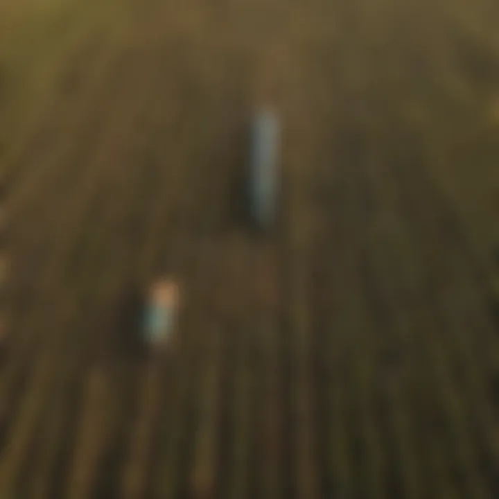 Aerial view of crops treated with azoxystrobin demonstrating its application in agriculture