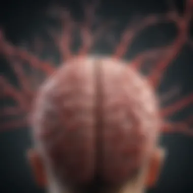 Neurobiological Implications in Fragile X Syndrome Neurobiological pathways affected by Fragile X Syndrome