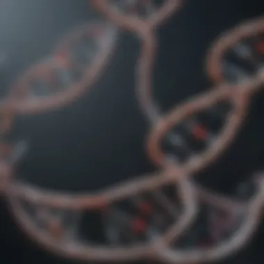 Biochemical Compounds Related to DNA Chart depicting biochemical compounds related to DNA