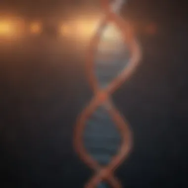 Diagram of DNA double helix structure