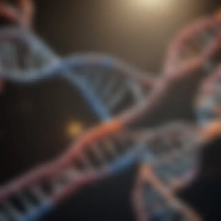 Illustration of nucleotides composition in DNA