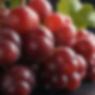 Red Grapes Rich in Resveratrol A close-up view of red grapes showcasing resveratrol-rich compounds.