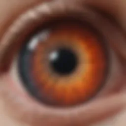 Detailed illustration of retinal layers affected by diabetes.