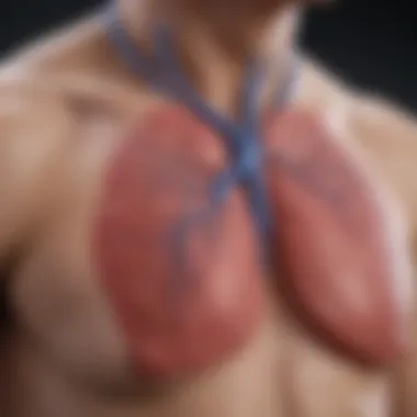 Diagnostic Techniques for Identifying Pulmonary Embolism Diagnostic approaches for detecting pulmonary embolism