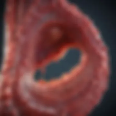 Diagnostic Approaches for Detecting Bleeding Graphic showcasing diagnostic methods for identifying bleeding in colon cancer