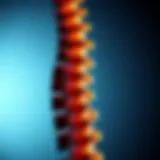Distinctions Between Ankylosing Spondylitis and Rheumatoid Arthritis Introduction
