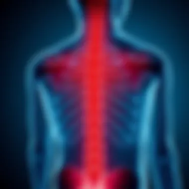 Distinctions Between Ankylosing Spondylitis and Rheumatoid Arthritis Summary