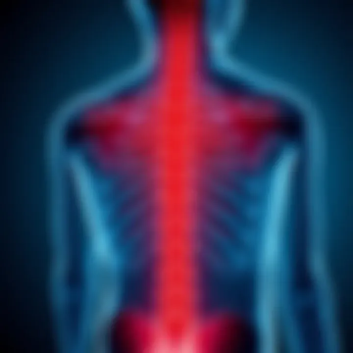 Distinctions Between Ankylosing Spondylitis and Rheumatoid Arthritis Summary