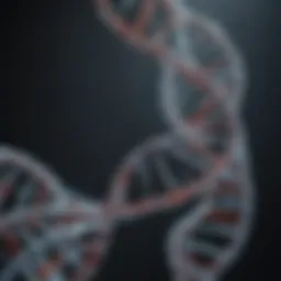 Illustration of DNase enzyme action on DNA