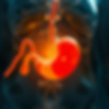 Draining Fluid from the Stomach Due to Cancer: An In-depth Analysis Introduction Draining Fluid from the Stomach Due to Cancer: An In-depth Analysis Introduction