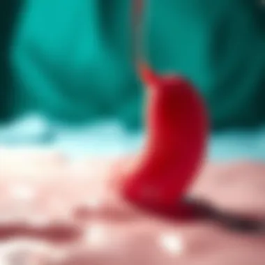 Draining Fluid from the Stomach Due to Cancer: An In-depth Analysis Summary Draining Fluid from the Stomach Due to Cancer: An In-depth Analysis Summary