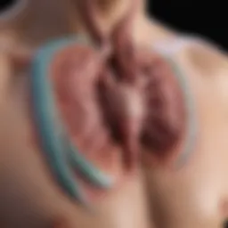 Illustration of duct dependent lesions in cardiovascular anatomy