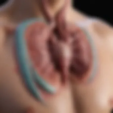 Duct Dependent Lesions in Cardiovascular Anatomy Illustration of duct dependent lesions in cardiovascular anatomy